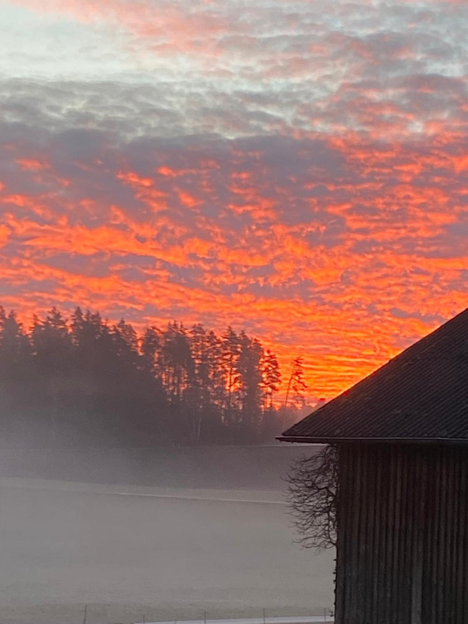 Appartamento Baerenhof Tirschenreuth Esterno foto