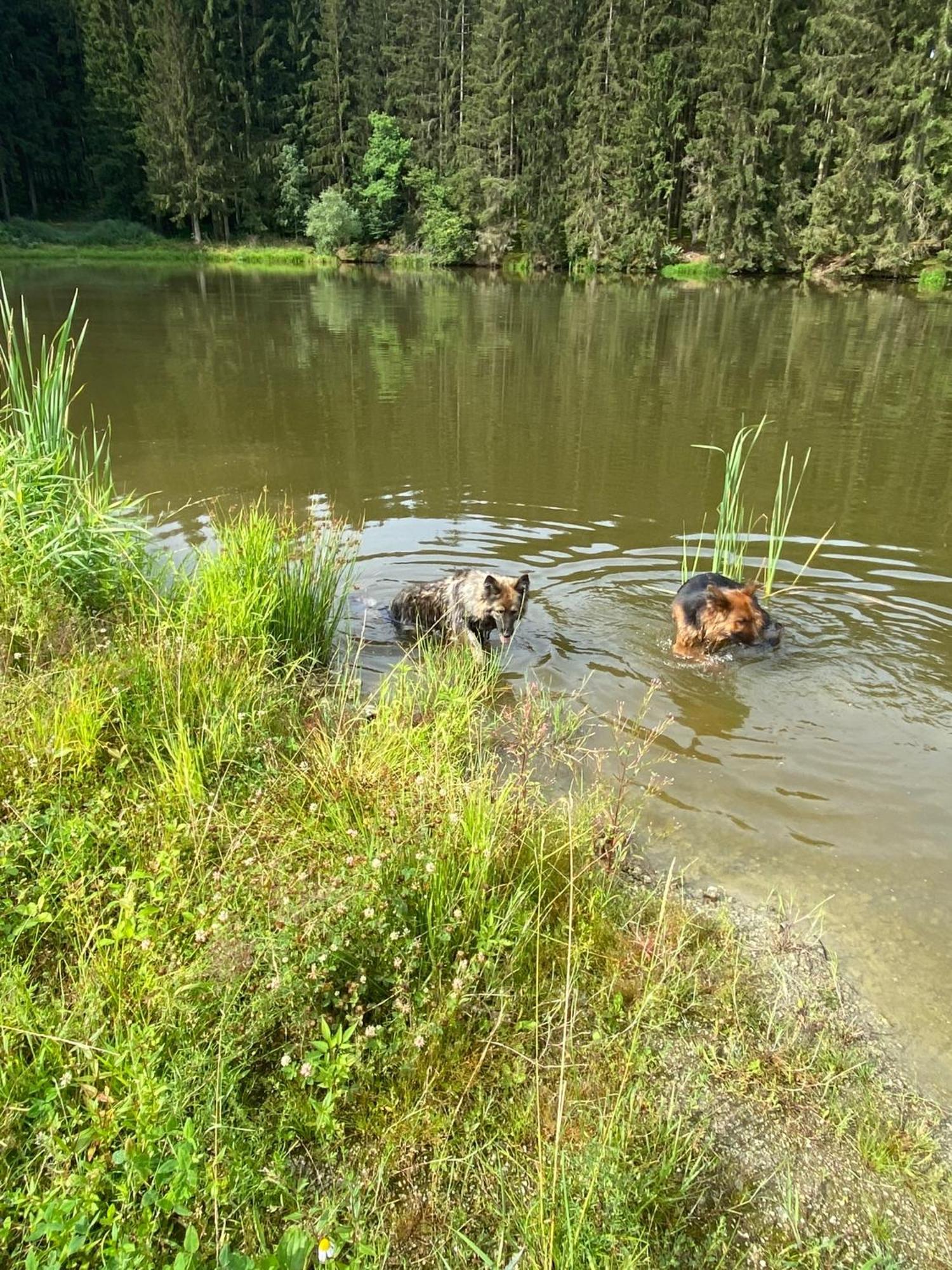 Appartamento Baerenhof Tirschenreuth Esterno foto